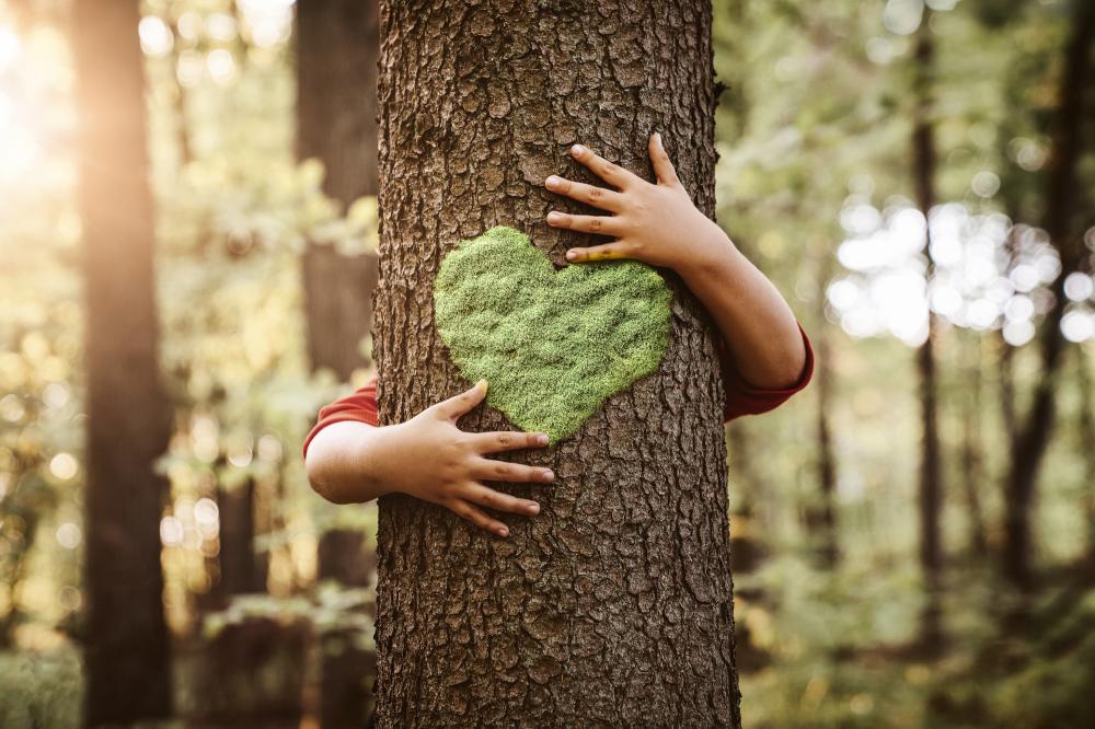 arbre environnement